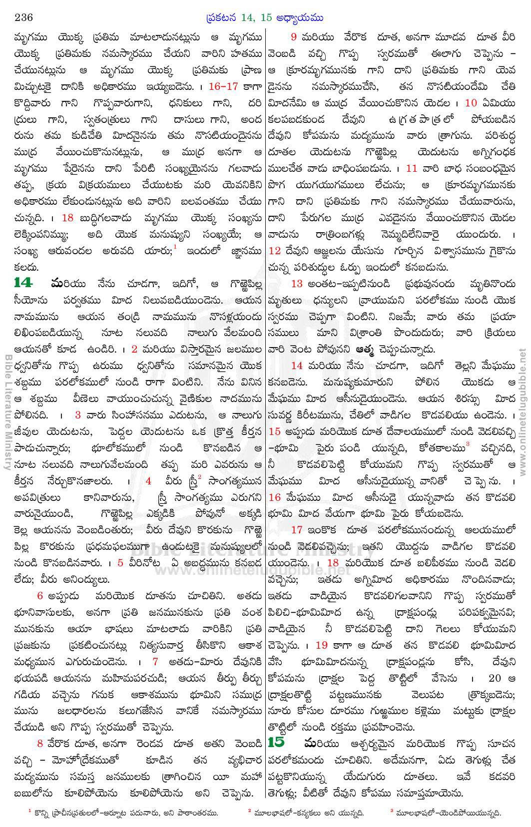 Revelation Bible Study In Tamil Pdf