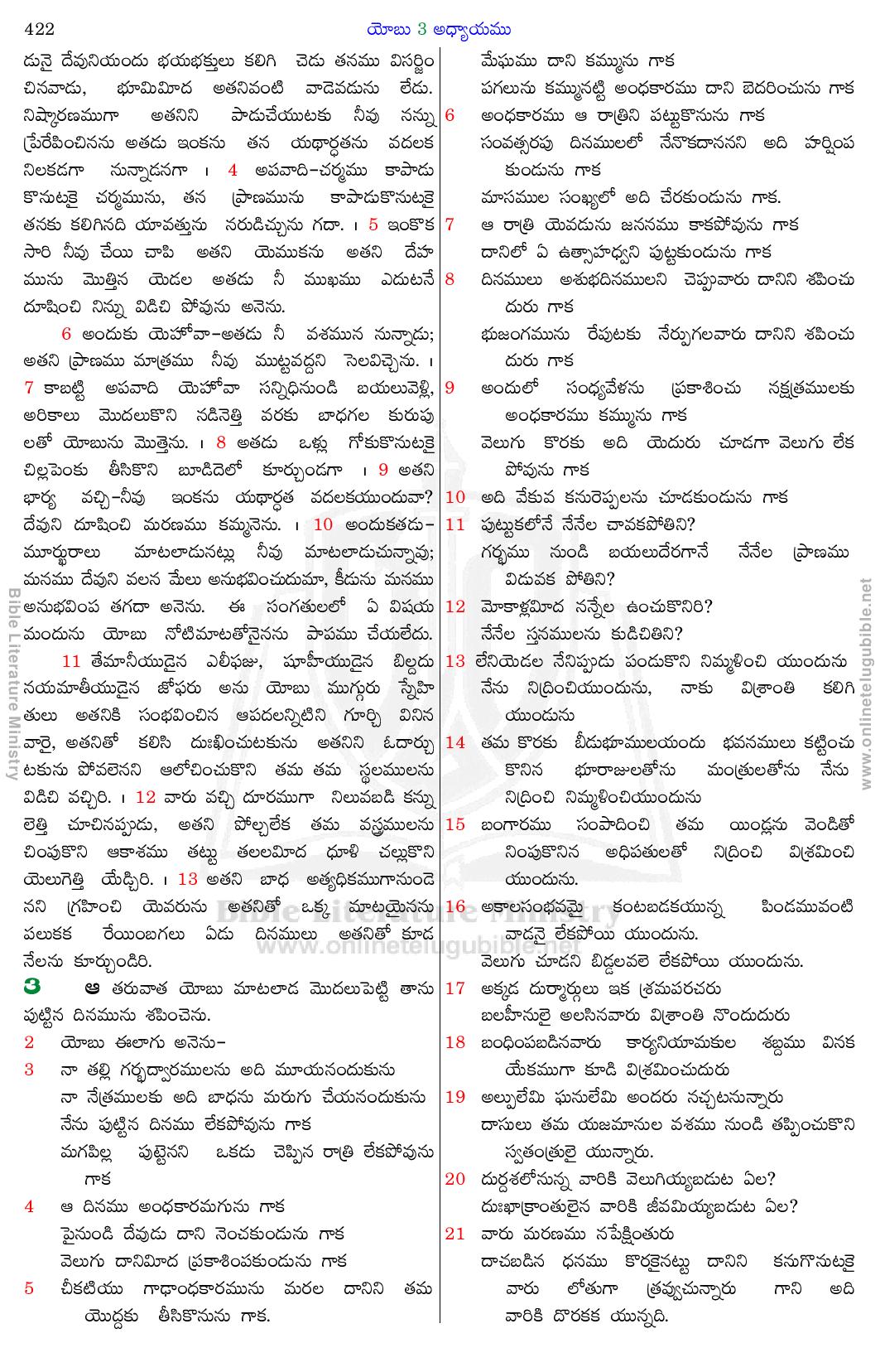 Bible Literature Ministry - Telugu Bible - Job - Chapter 3