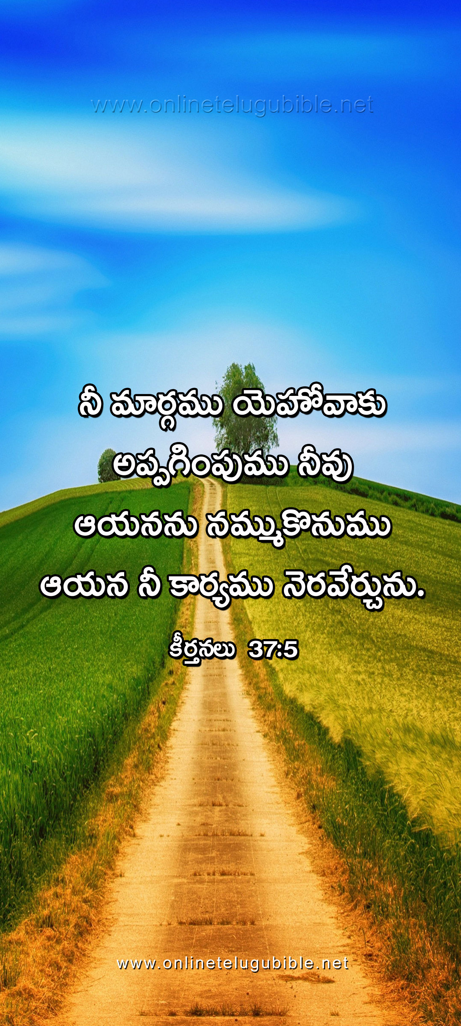 Bible Literature Ministry-Mobile Wallpapers