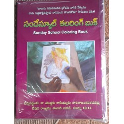 సండేస్కూల్ బుక్స్ సెట్ - 25 పుస్తకాలు - Sunday Schools Material Telugu - Set of 25 Books